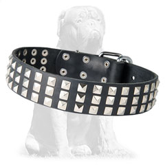 Mastiff Leather Collar Silver-Like Pyramids