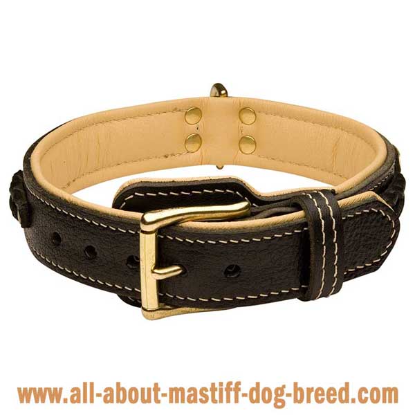 Neapolitan Mastiff Dog Collar Made of Black Leather with Braids