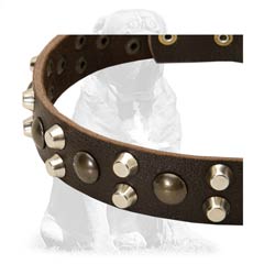 Mastiff Studded Leather Collar Rustproof Decoration