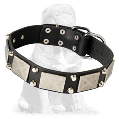 Exclusive leather Mstiff collar with nickel adornment