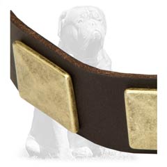 Mastiff collar for everyday use with smooth edges