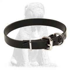 Safe and non-toxic collar 