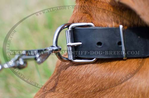 Safe and secure leather collar