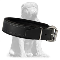 Safe and non-toxic collar 