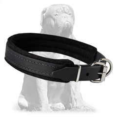 Felt padded inside leather collar 