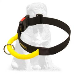 Light weight nylon collar 