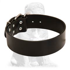 Light weight leather collar 