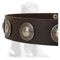 Walking leather dog collar