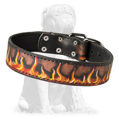 Strong full grain leather collar