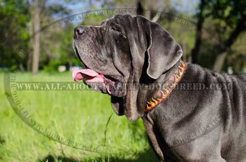 Classy leather collar with handpainted flames