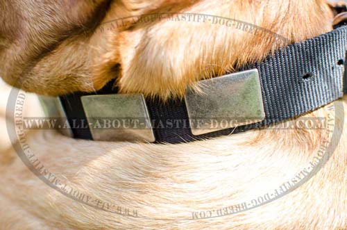 Easy in use nylon collar