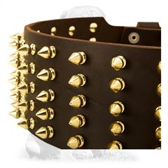 Durable safe leather collar