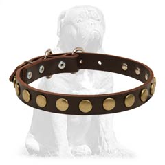 Strong  leather collar with shiny decorations