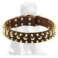 Exclusively decorated leather dog collar