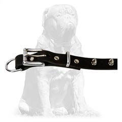 Eco-friendly  leather collar