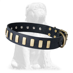 Best quality leather dog collar