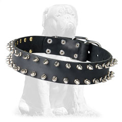 Shiny spiked leather collar