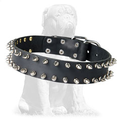 Spiked leather dog collar