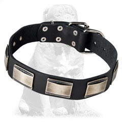 Exclusive leather collar with plates
