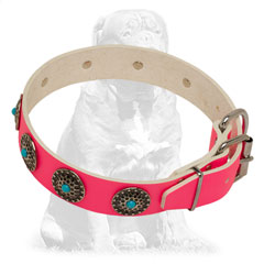 Hand decorated with round studs and blue stones collar