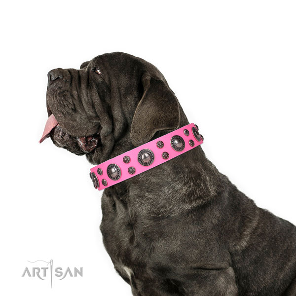 Mastiff incredible genuine leather dog collar for everyday walking title=Mastiff full grain natural leather collar with studs for comfortable wearing