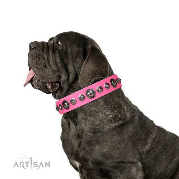 Mastiff remarkable full grain genuine leather dog collar for basic training title=Mastiff full grain genuine leather collar with embellishments for walking