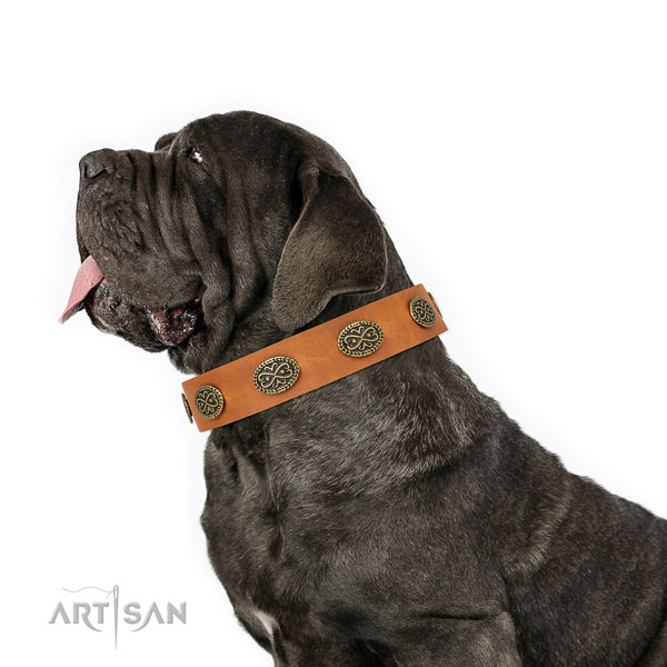 Mastiff decorated natural genuine leather dog collar for walking title=Mastiff full grain natural leather collar with decorations for daily use
