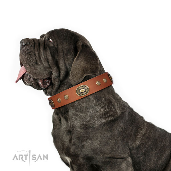 Mastiff unique full grain natural leather dog collar for walking title=Mastiff natural genuine leather collar with adornments for everyday use