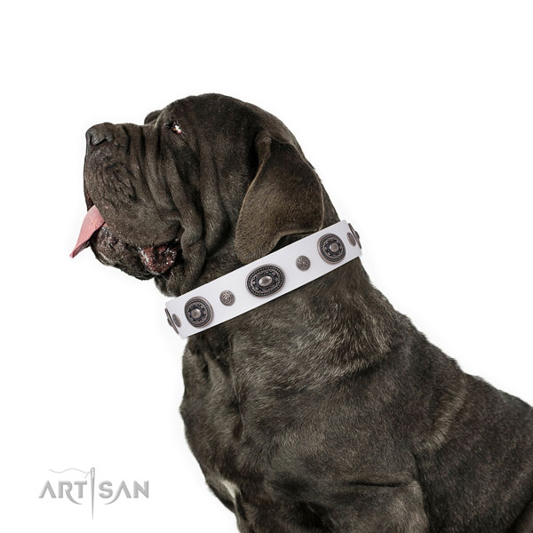 Mastiff significant genuine leather dog collar for everyday use title=Mastiff genuine leather collar with adornments for daily use