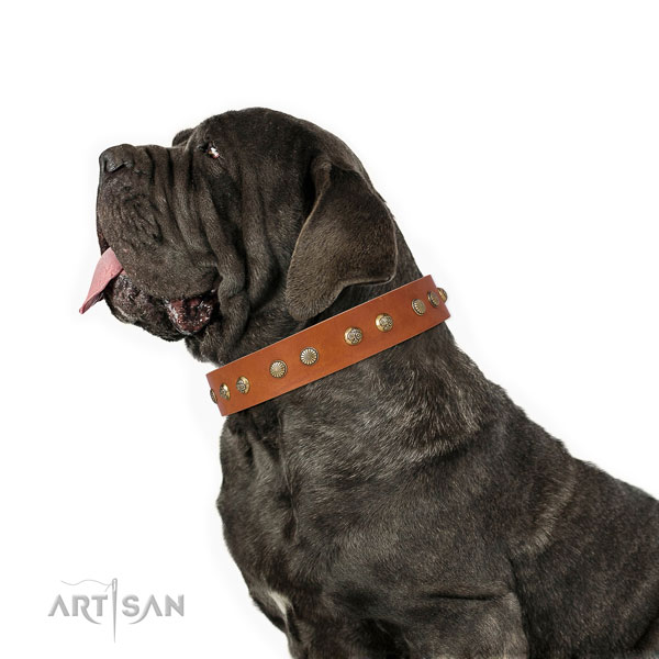 Mastiff inimitable full grain leather dog collar for comfortable wearing title=Mastiff full grain leather collar with decorations for easy wearing