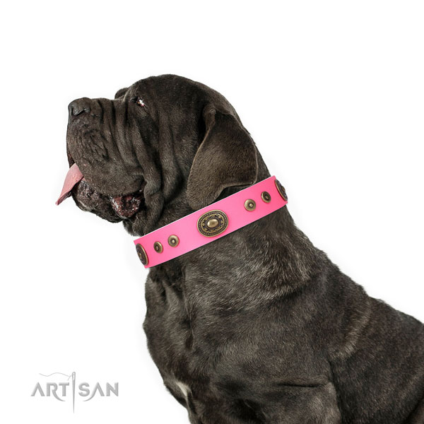 Mastiff adorned full grain genuine leather dog collar for everyday walking title=Mastiff full grain natural leather collar with embellishments for comfy wearing