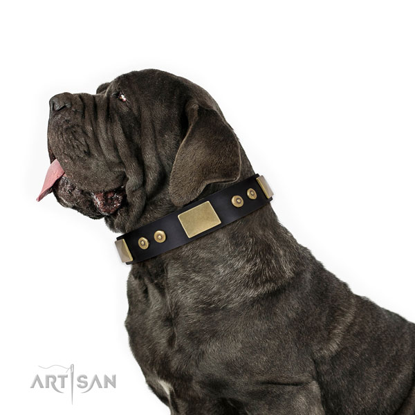 Mastiff stunning leather dog collar for handy use title=Mastiff natural genuine leather collar with decorations for everyday use