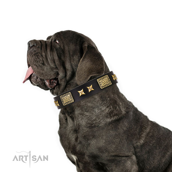 Mastiff trendy full grain natural leather dog collar for everyday walking title=Mastiff leather collar with decorations for basic training