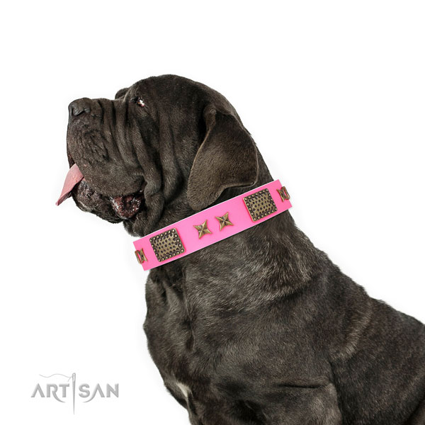 Mastiff fine quality full grain natural leather dog collar for walking title=Mastiff full grain natural leather collar with embellishments for everyday use