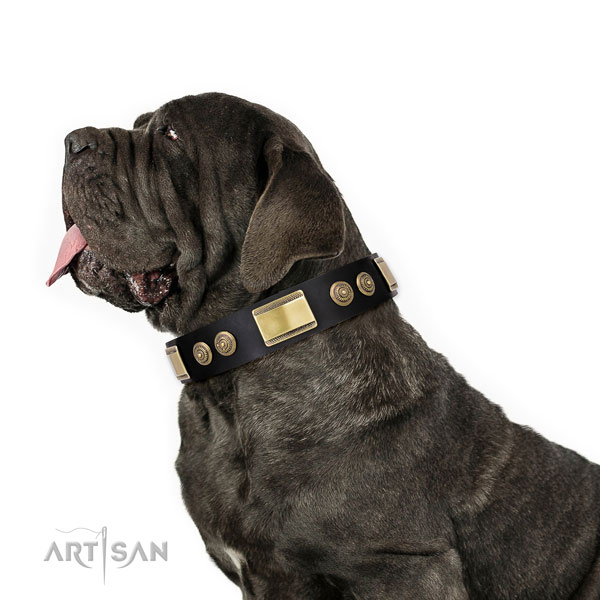 Mastiff best quality leather dog collar for easy wearing title=Mastiff full grain leather collar with studs for basic training