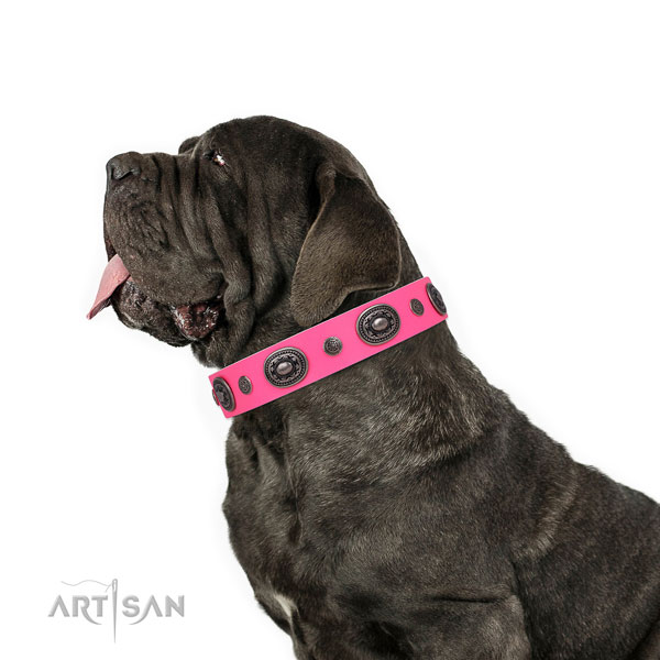 Mastiff unique full grain leather dog collar for everyday use title=Mastiff genuine leather collar with studs for comfy wearing