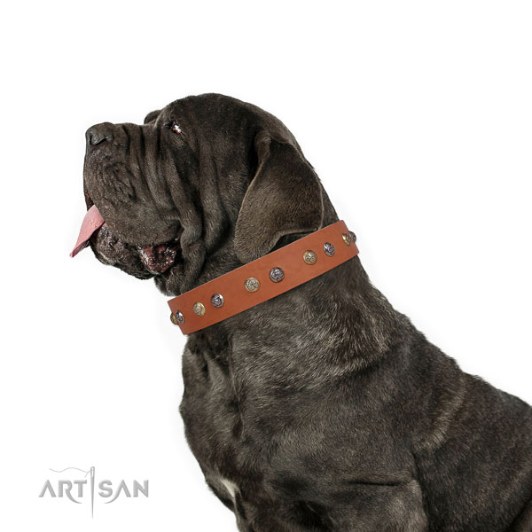 Mastiff comfortable full grain genuine leather dog collar for comfy wearing title=Mastiff full grain natural leather collar with decorations for daily walking