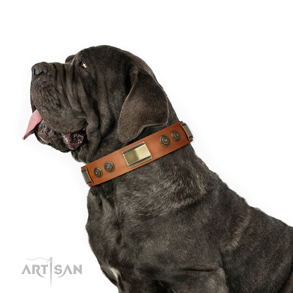 Mastiff extraordinary full grain natural leather dog collar for everyday walking title=Mastiff natural genuine leather collar with studs for comfy wearing