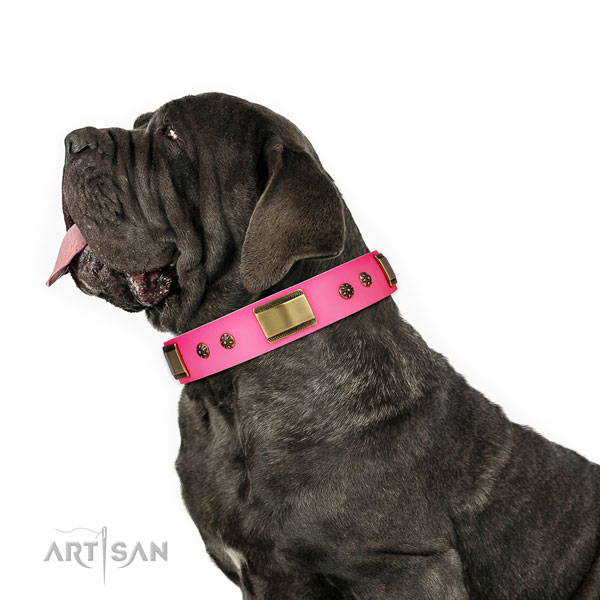 Mastiff remarkable leather dog collar for walking title=Mastiff full grain genuine leather collar with studs for walking