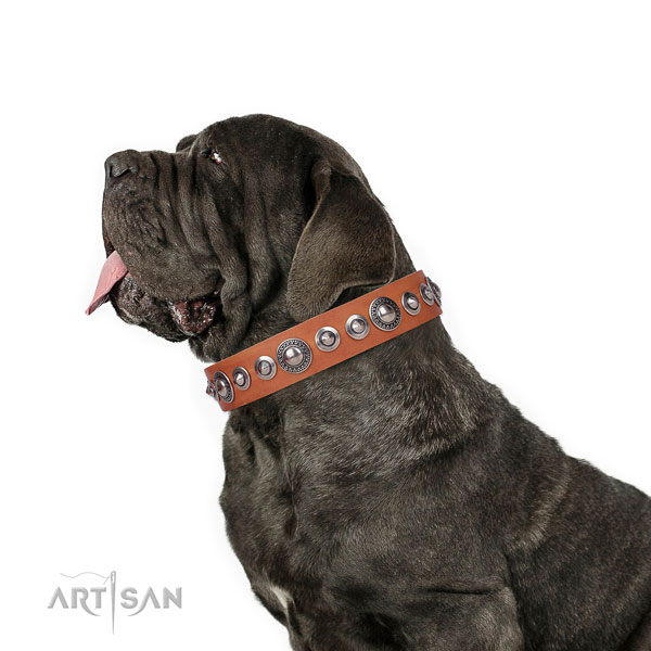 Mastiff unusual natural genuine leather dog collar for everyday walking title=Mastiff leather collar with adornments for comfy wearing
