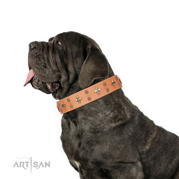 Mastiff top notch full grain leather dog collar for basic training title=Mastiff full grain genuine leather collar with decorations for walking