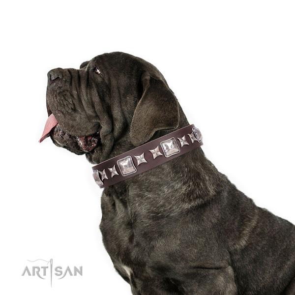Mastiff exceptional genuine leather dog collar for walking title=Mastiff full grain leather collar with adornments for daily use