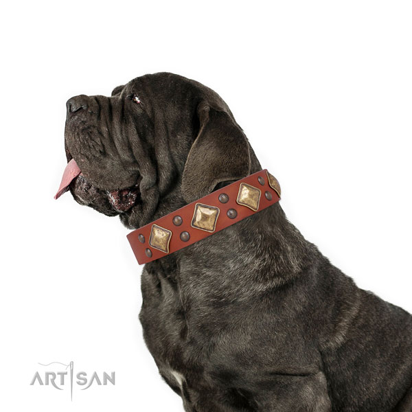 Mastiff amazing full grain leather dog collar for fancy walking title=Mastiff full grain natural leather collar with studs for fancy walking