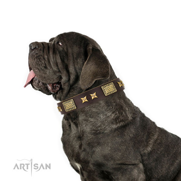 Mastiff perfect fit leather dog collar for handy use title=Mastiff full grain leather collar with embellishments for daily use