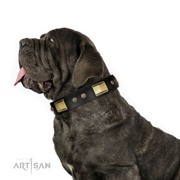 Mastiff fashionable genuine leather dog collar for basic training title=Mastiff natural genuine leather collar with studs for easy wearing