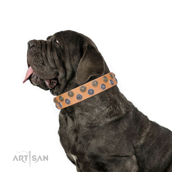 Mastiff stylish design genuine leather dog collar for comfortable wearing title=Mastiff full grain natural leather collar with adornments for fancy walking