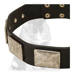 Strong heavy duty leather collar