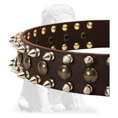 Dependable leather dog collar