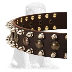 Dog-friendly leather dog collar