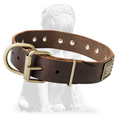 Strong leather dog collar